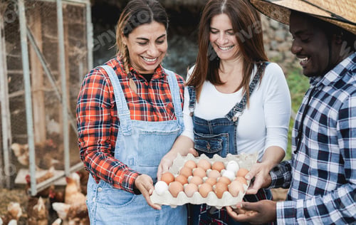 Preview: Happy farmers collecting organic eggs from henhouse