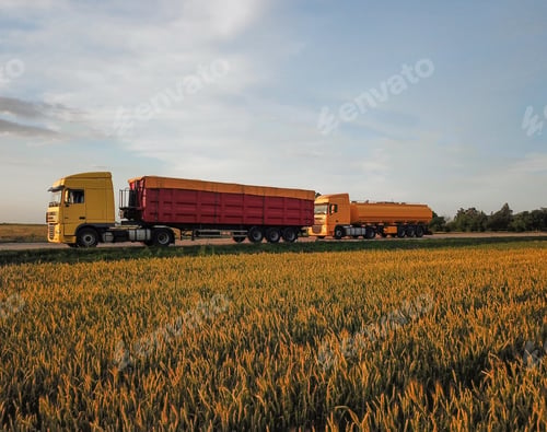 Preview: Modern bright trucks on road near wheat field