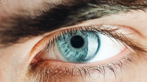 Preview: Beautiful blue eye of a boy macro shoot.