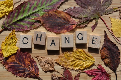 Preview: Change, 3D wooden alphabet letters on bamboo wood board background and autumn leaves changing colour