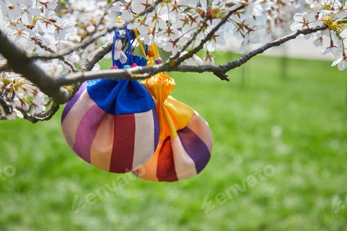 Preview: Korean New Year or Seollal. Sebaetdon lucky bag on Cherry blossom tree.