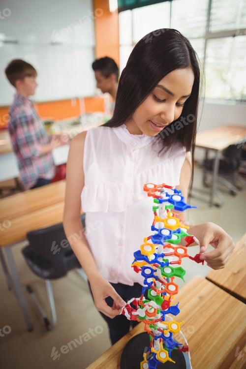 Preview: Smiling schoolgirl examining the molecule model in laboratory