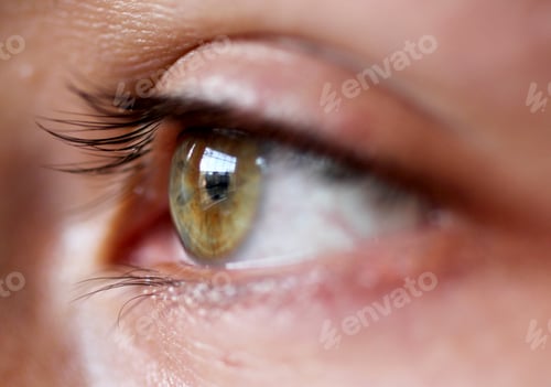 Preview: Eyes are the windows to the soul. Depth of field close up of green olive eye with reflection on it.