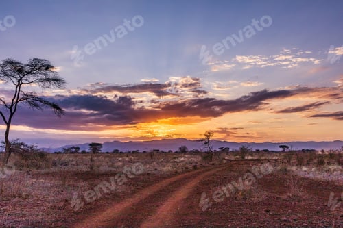 Preview: Meru National Park Kenya East Africa Landscapes