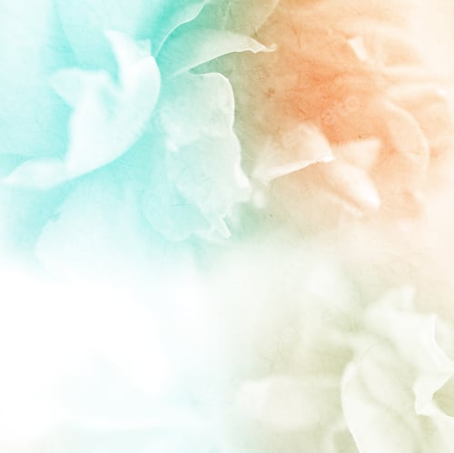 Preview: Sweet Color Roses Flower In Soft And Blur Style On Mulberry Paper Texture