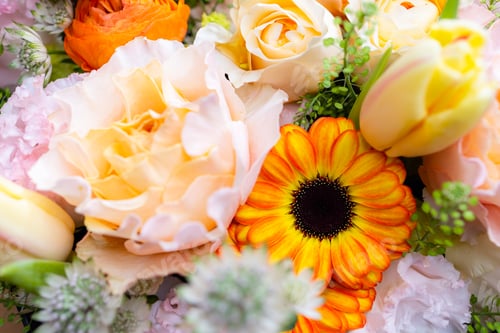 Preview: Set of flower box with different flower