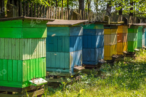 Preview: Wooden apiary in garden. Production of ecological honey.