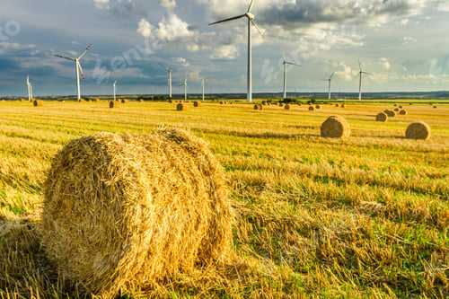 Preview: View of electric windmills in summer