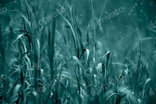 Preview: Natural grass background in tidewater green, teal color