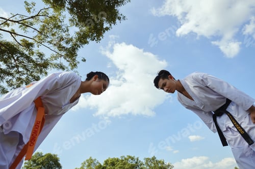 Preview: Taekwondo Athletes Doing Slow Bow