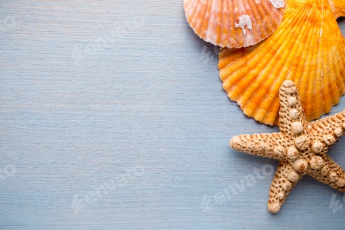 Preview: Starfish.