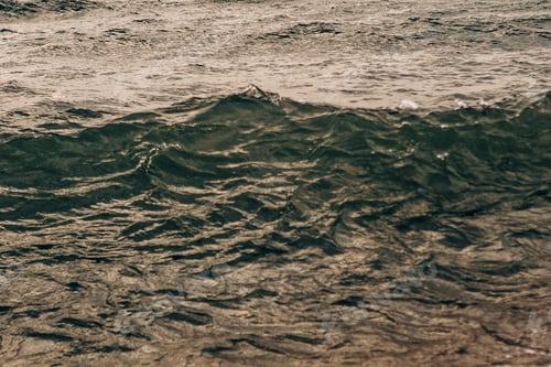 Preview: baikal