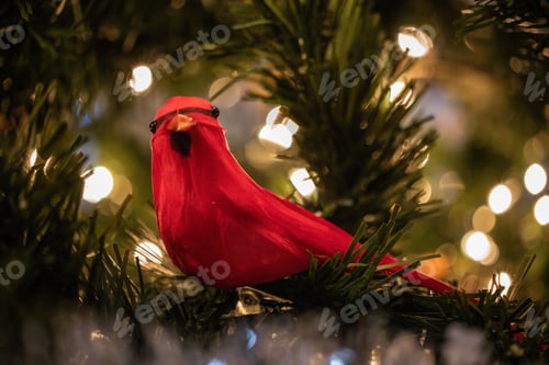 Preview: Believe in the MAGIC of Christmas
