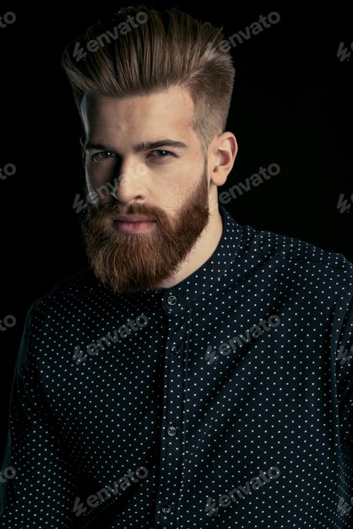 Preview: Portrait of handsome bearded man in stylish shirt looking at camera