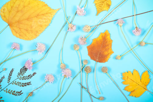 Preview: On A Bright Background Lie Autumn Leaves Background Image
