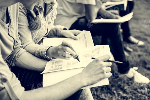 Preview: Young Diverse Group Studying Outdoors Concept