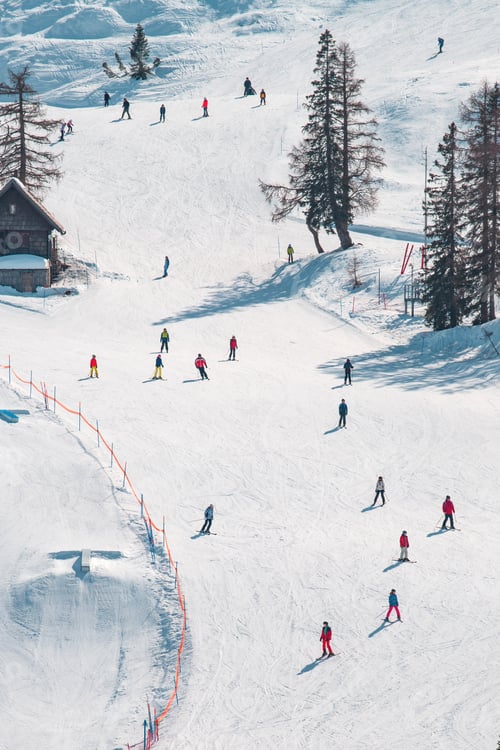 Preview: Large group of skiers enjoying sunny winter day on ski slope, unrecognizable people skiing