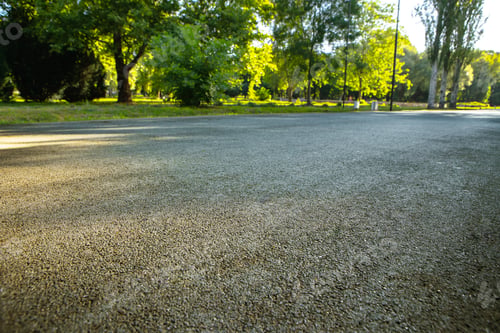 Preview: The road way in the city park with trees and grass
