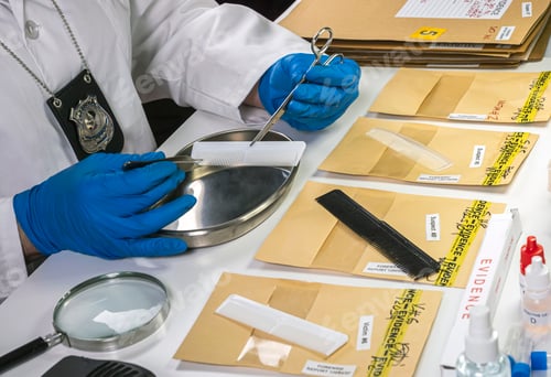 Preview: Specialized police take DNA sample from murder victim, conceptual image