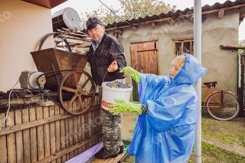 Preview: Portrait of a woman in a blue cloak handing a bucket of grapes to a man.