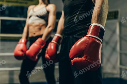 Preview: cropped shot of young boxers in boxing gloves standing on boxing ring