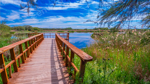 Preview: Tablas de Daimiel National Park, Spain