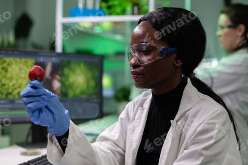 Preview: African american biologist researcher holding organic strawberry