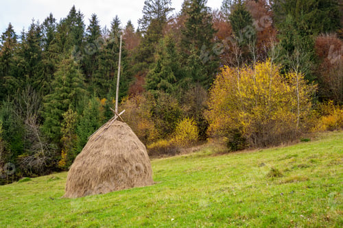 Preview: A large number of haystacks in a green meadow with cloudy weather