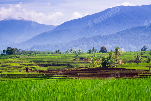 Preview: beautiful morning view from Indonesia of mountains and tropical forest