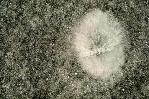 Preview: winter background. The texture of white snow on ice. Pure white snow