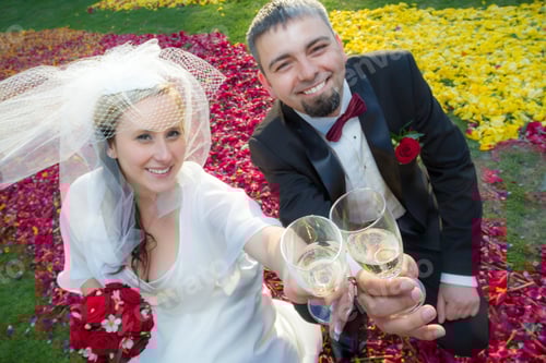 Preview: Bride and groom makes a toast with champagne