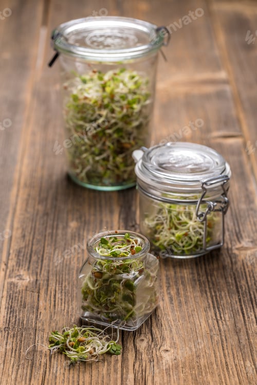 Preview: Green young sprouts