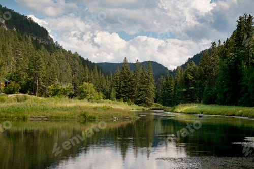 Preview: Trout Stream in the Black Hills of South Dakota