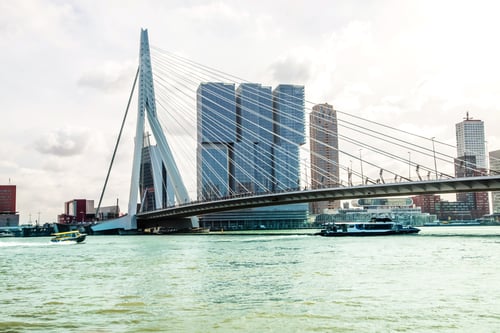 Preview: Panorama Erasmus bridge over the river Meuse in Rotterdam