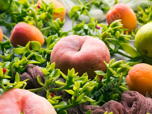 Preview: Fresh summer fruit concept still life