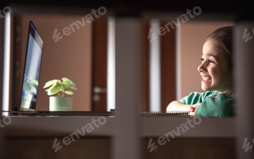 Preview: Little girl in front of laptop screen, study concept.