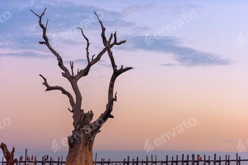 Preview: U-Bein Bridge in Mandalay, Myanmar.