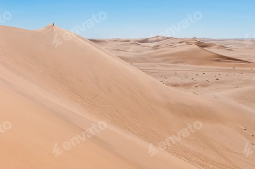 Preview: Person is visible on Dune 7 at Walvis Bay