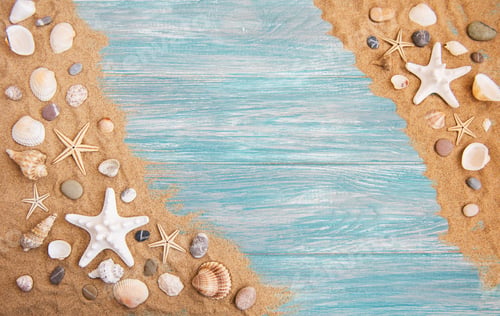 Starfish and Seashells on the Sand and Wood