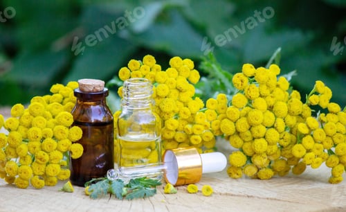 Preview: essential oil of immortelle on a wooden background. Herbs