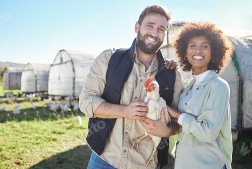 Preview: Farmer couple, chicken and agriculture with animal on farm, portrait and poultry farming with organ
