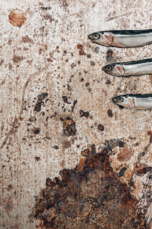 Preview: Cropped image of three little fish in row on rustic surface