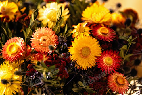Preview: Autumn composition of dry flowers and herbs closeup. Red pink orange Floristic art decoration