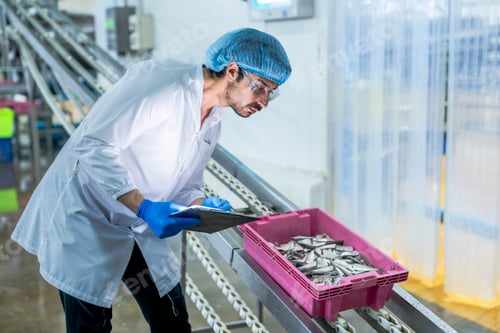 Preview: supervisor in protective gear, inspecting fish in a pink crate fish sea food.