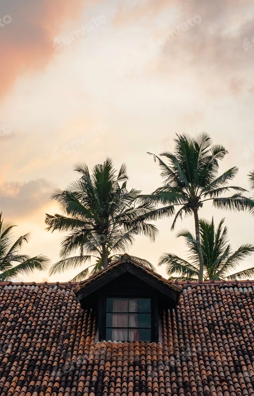 Preview: Oriental tradition tile roof top against palm trees and sunset sky.