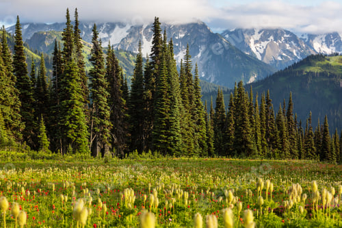 Preview: Mountains in Washington