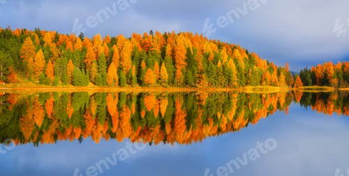 Preview: Nature. Lake and autumn forest. Symmetrical composition. Panoramic view.