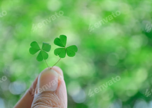 Preview: Two Lucky Clovers Held in Hand