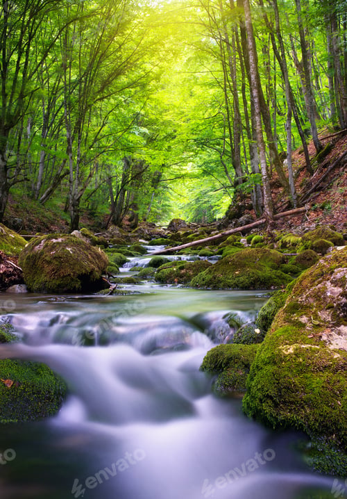 Preview: River in mountain forest.