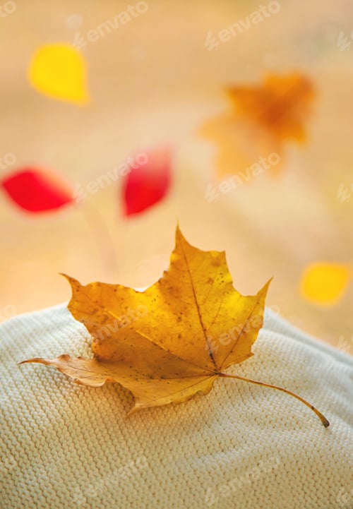 Preview: Yellow leaves on the window. Selective focus.